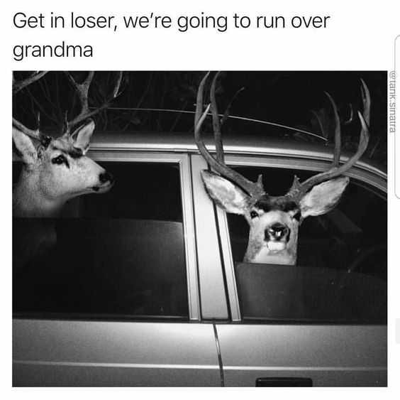 Funny Run Over Grandma