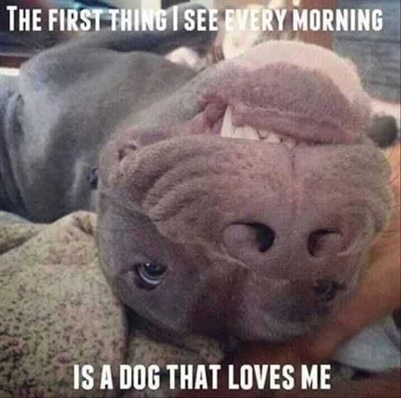 Funny See Every Morning