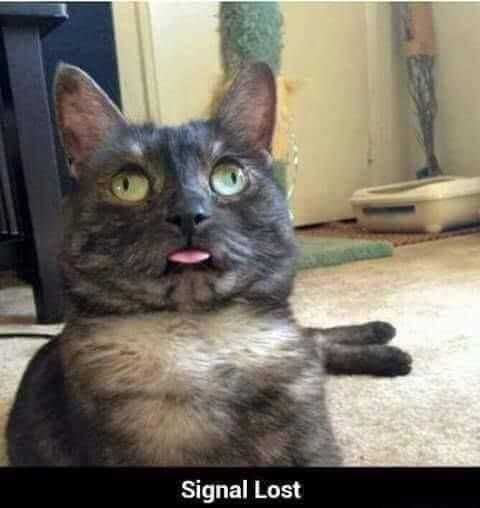 Funny Signal Lost