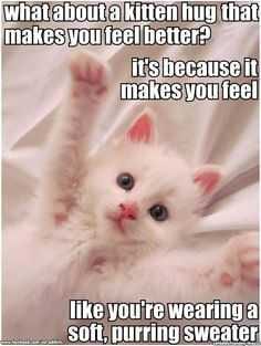 Funny Soft Purring Sweater