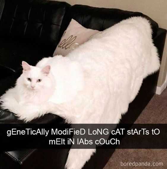 Funny Starts Melt