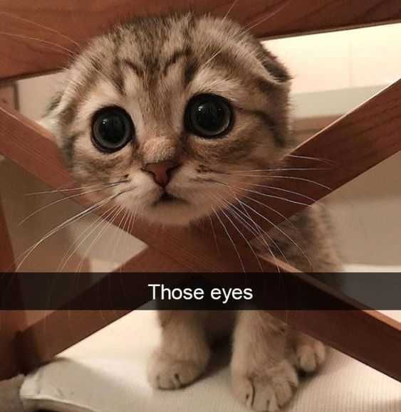 Funny Those Eyes