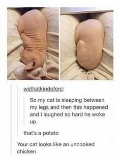 Funny Uncooked