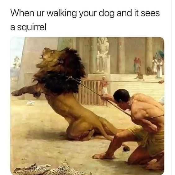 Funny Walking Dog