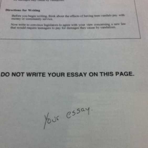 Funny Your Essay
