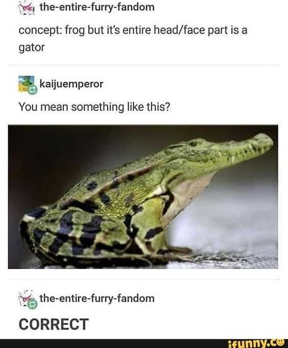 Funnyconcept