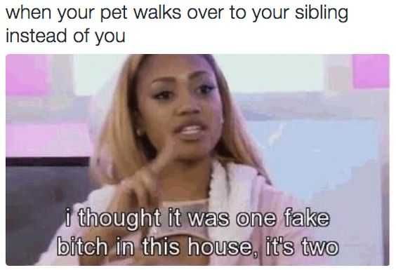 Meme Fake
