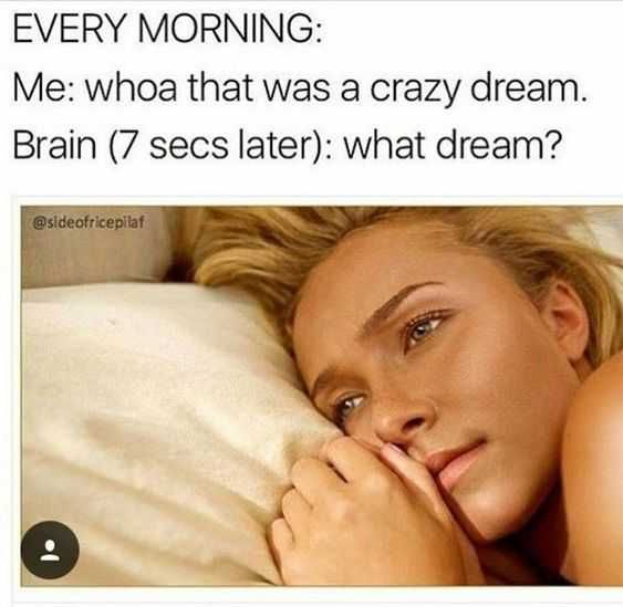 Meme What Dream