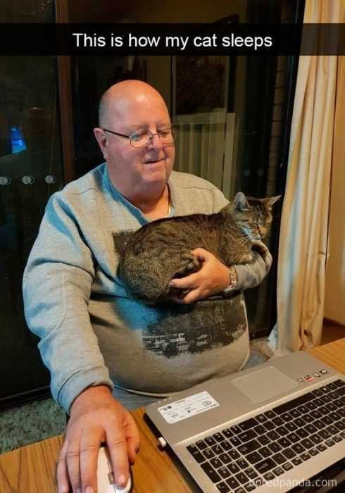 Sleep Cat Hold
