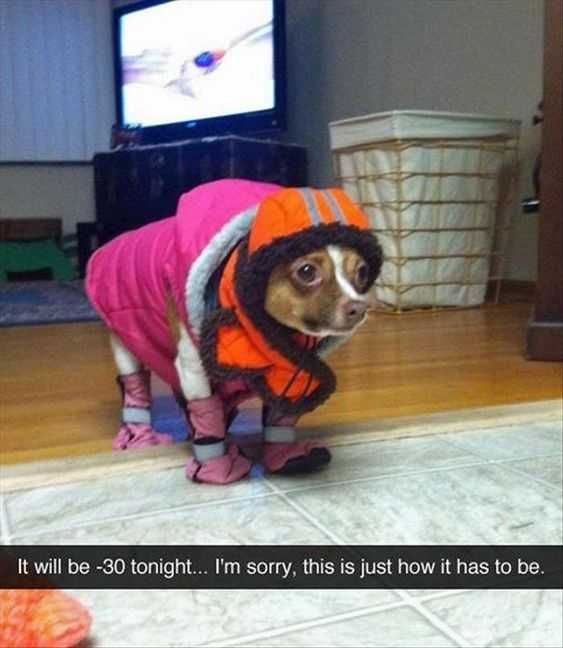 Funny Below Zero