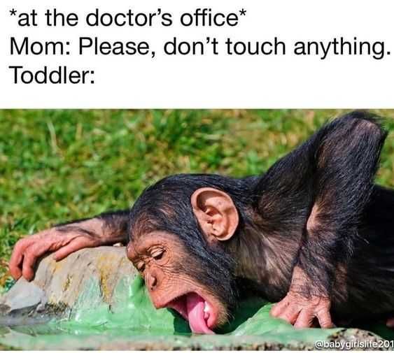 Funny Dont Touch
