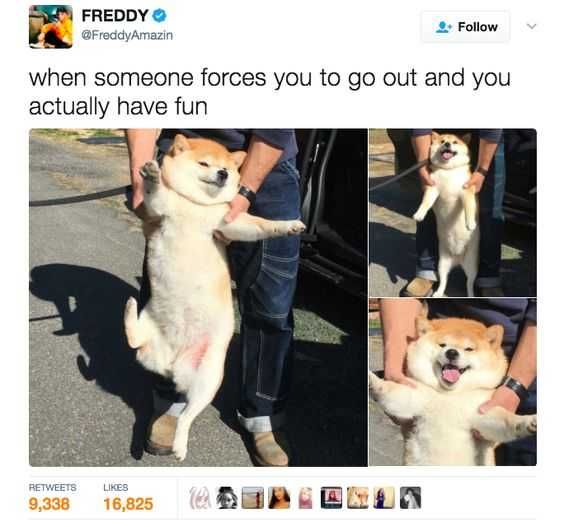 Funny Forces Fun