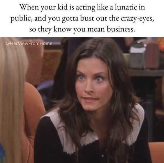 Funny Meanbus