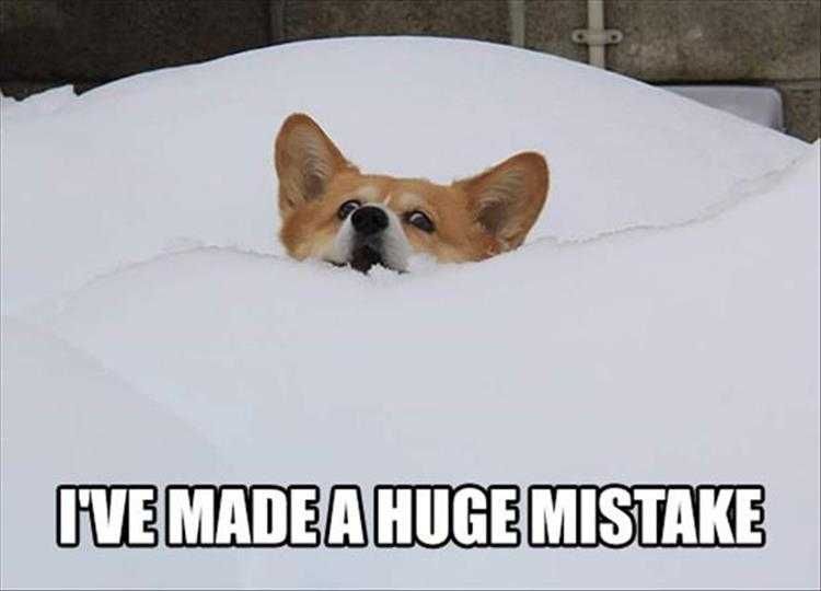 Funny Mistake