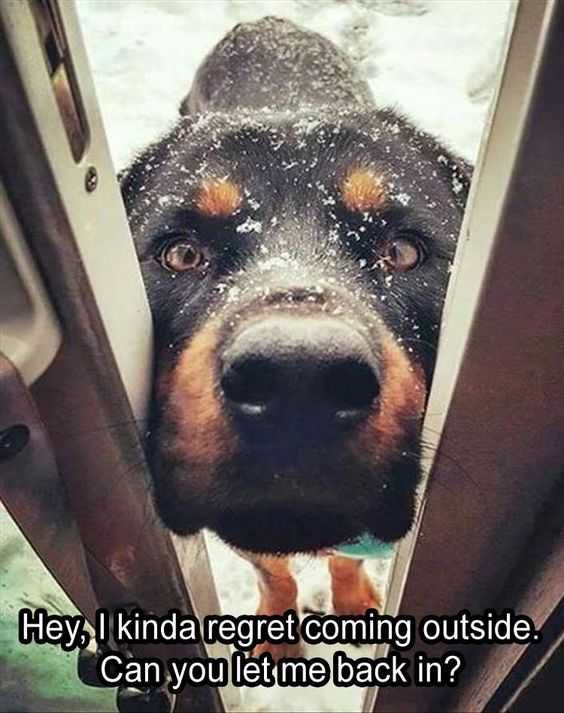 Funny Regreet Inside