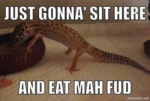 Funny Sit Here