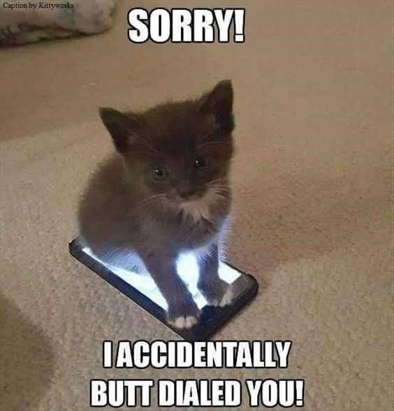 Funny Sorry Dial
