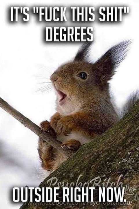 Funny This Degrees