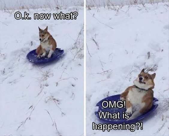 Funny What Now