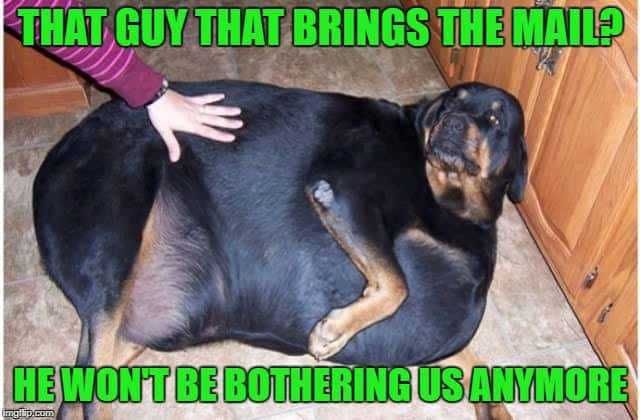 Pet Dogmail