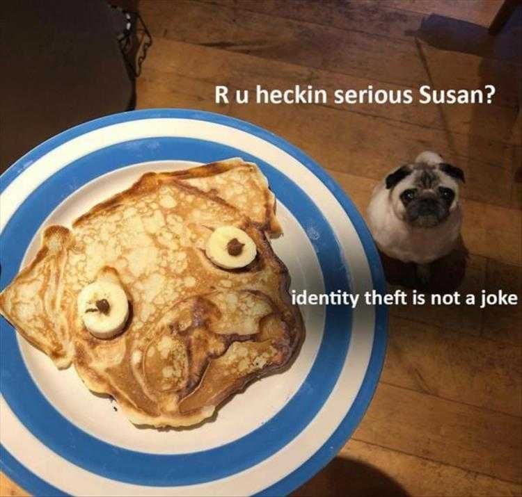 Pet Identitytheft