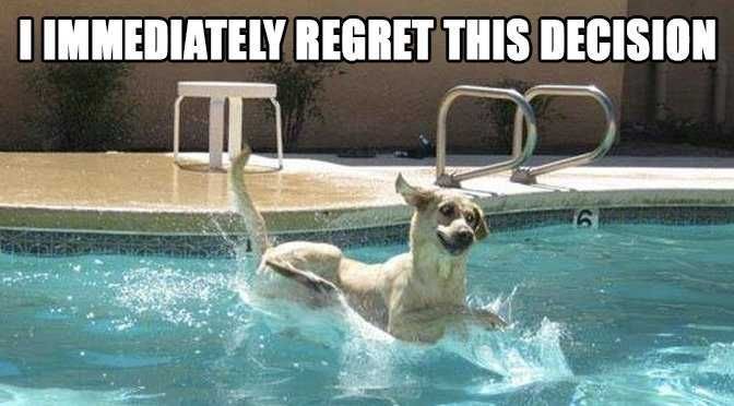 Pet Regretpool