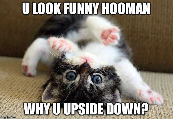 Pet Upsidedown