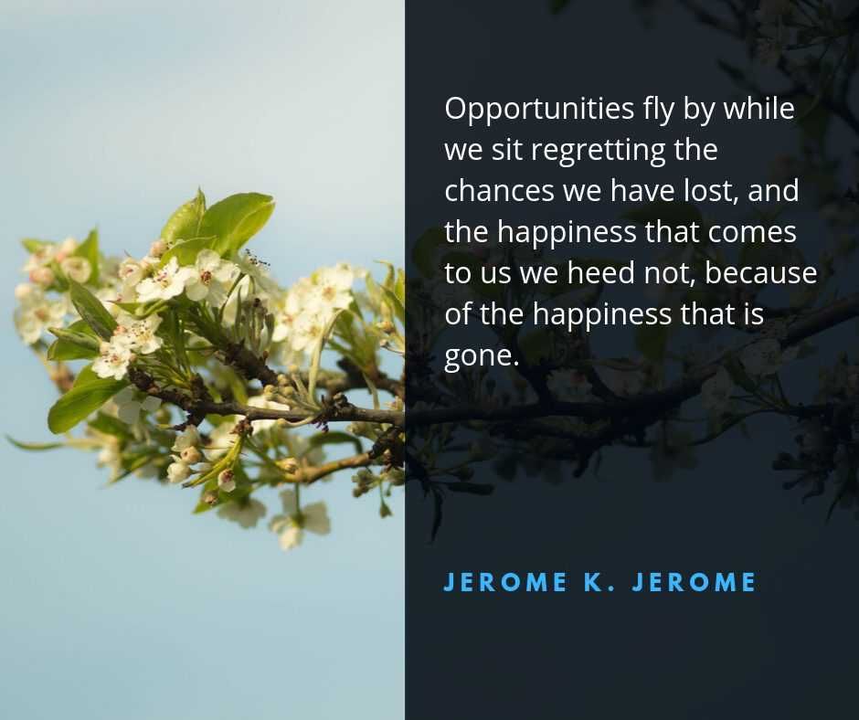 Quote Oppsfly