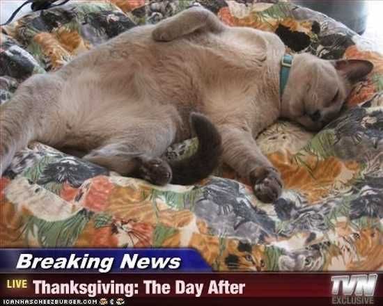 Funny-Day-After Funny Day After