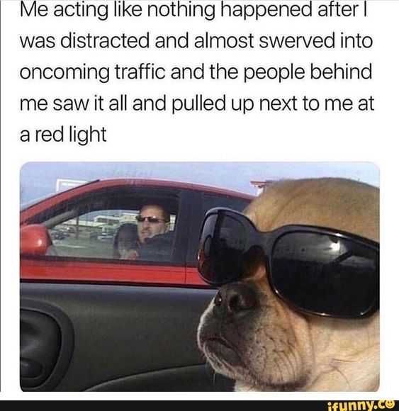 Funny Distracted Almost