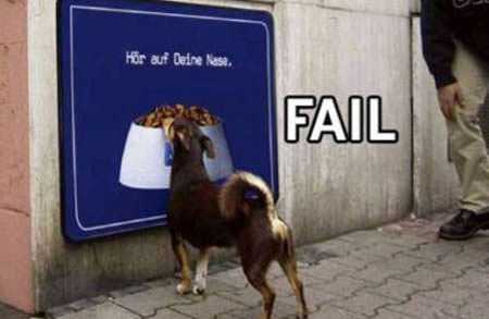 Funny-Dog-Sign Funny Dog Sign