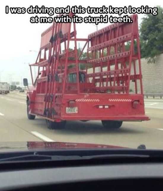 Funny Driving Stupid