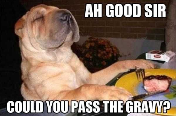 Funny-Good-Sir Funny Good Sir