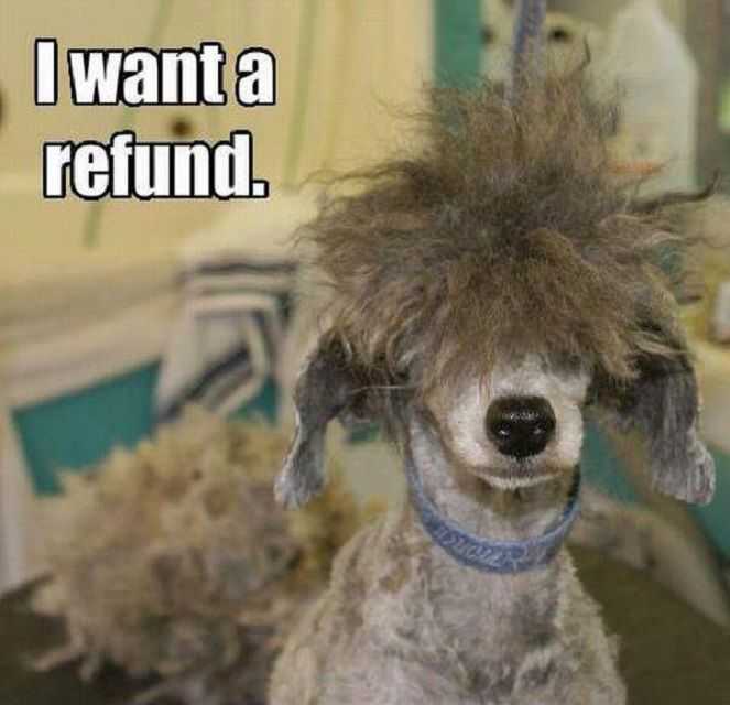 Funny-Grooming-Fail Funny Grooming Fail