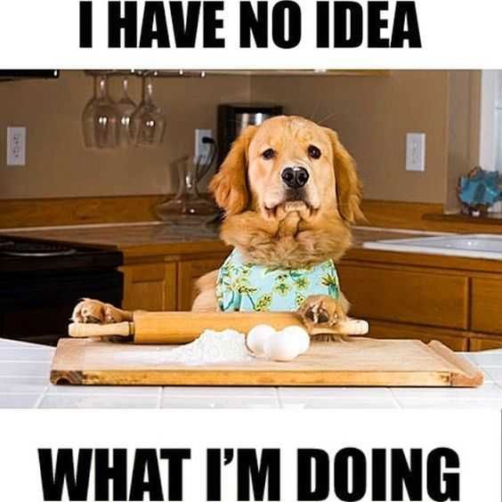 Funny-No-Idea Funny No Idea
