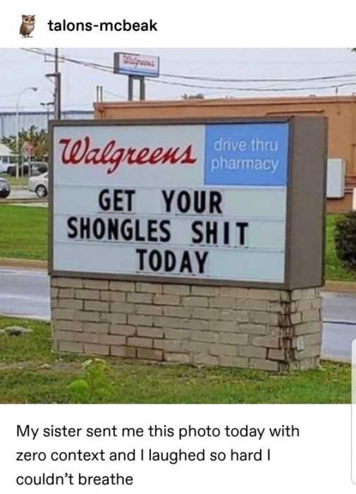 Funny Shongles