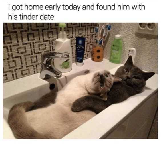 Funny-Tinder-Date Funny Tinder Date