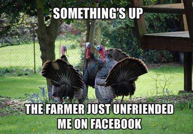 Funny-Unfriened Funny Unfriened