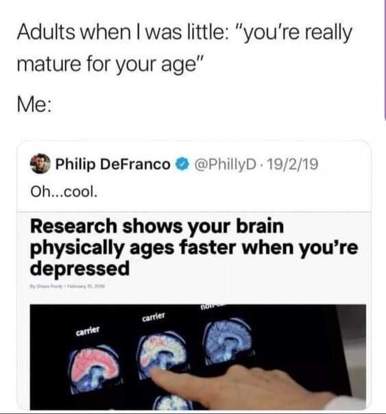 Meme-Depression-Brains Meme Depression Brains