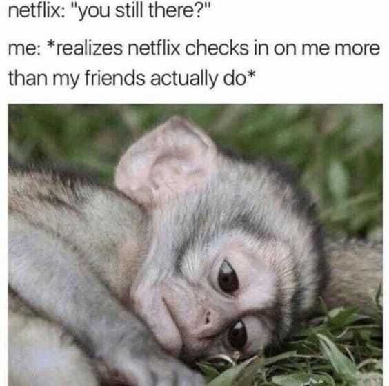 Meme-Netflix-Checks-In Meme Netflix Checks In