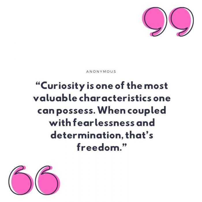 Quote Curiosity Is One