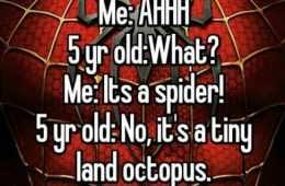 Whisper Spider Octopus