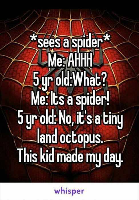 Whisper Spider Octopus