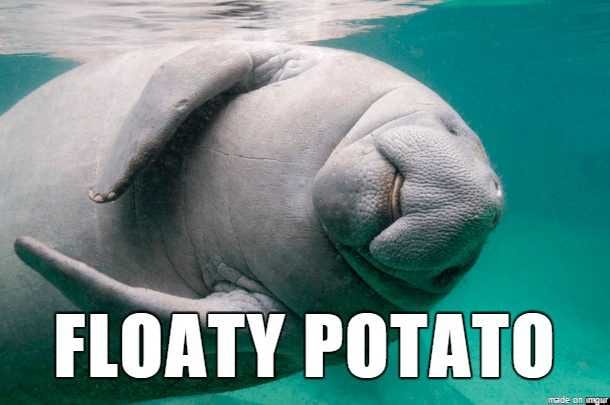 Animal-Floaty-Potato Animal Floaty Potato