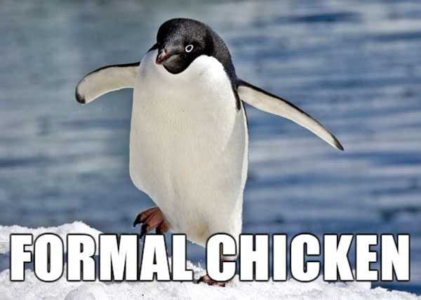 Animal-Formal-Chicken Animal Formal Chicken