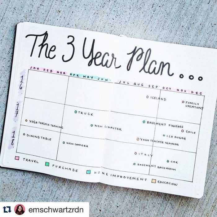 Bujo 3 Year Plan