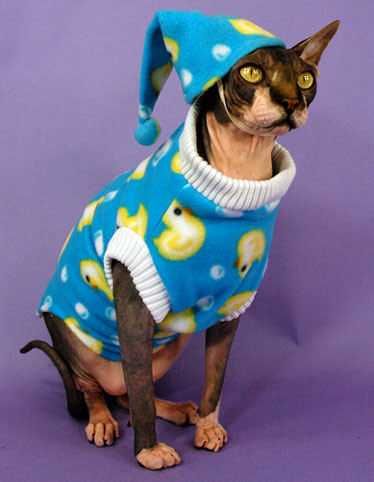 Cat-In-Pjs Cat In Pjs