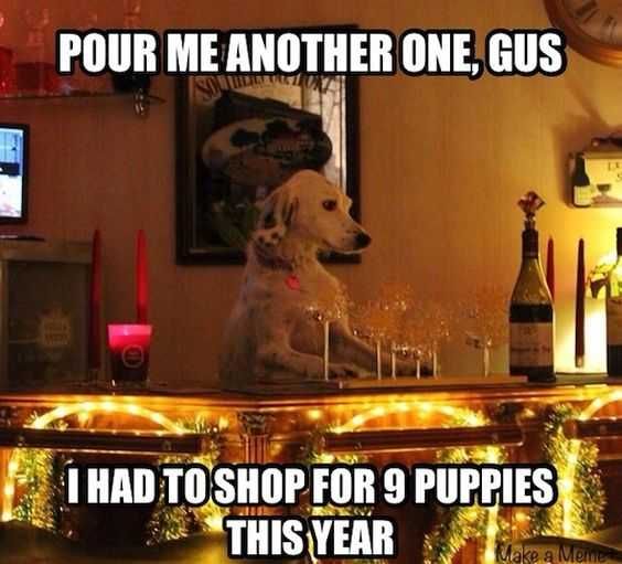 Funny-9-Puppies Funny 9 Puppies