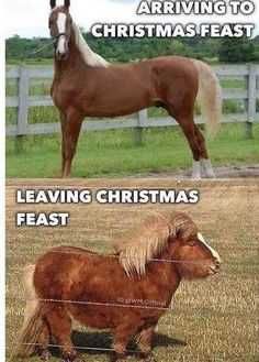 Funny-Arriving-Feast Funny Arriving Feast