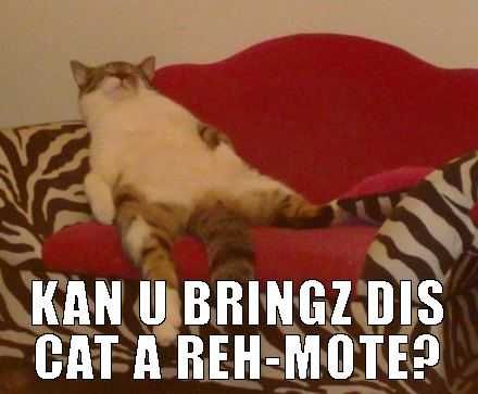 Funny-Bring-Remote Funny Bring Remote